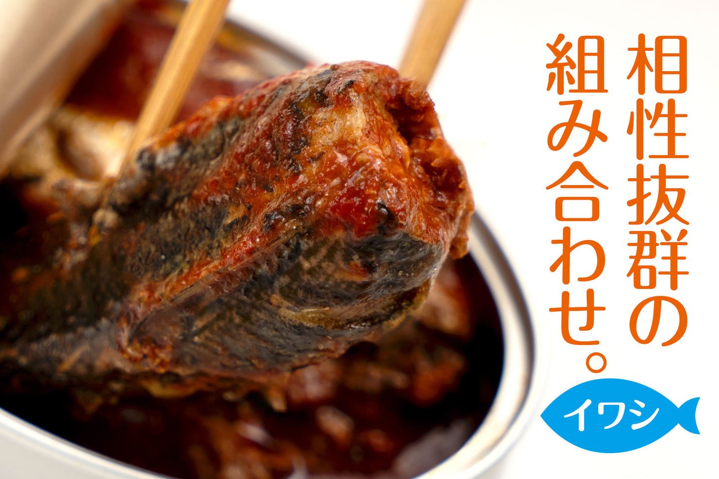 九州産イワシ缶（トマト）<br>【12缶・税込】